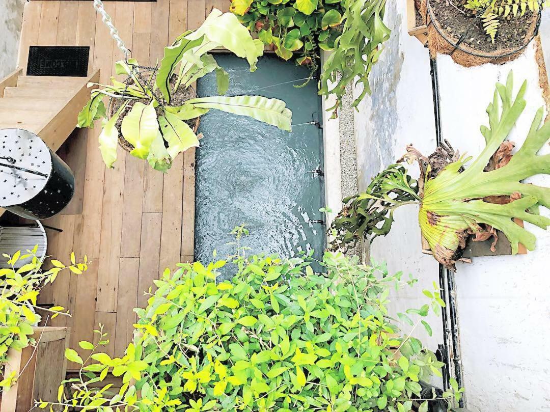Rimba Jonker, Melaka Heritage Residance Exteriér fotografie